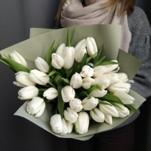 Тюльпан Холланд Сноу 500 цибулин розмір 12+