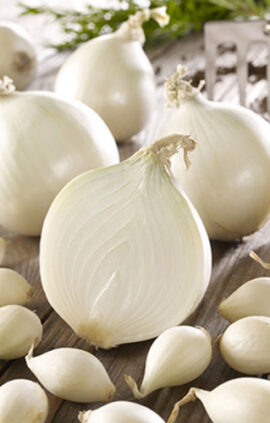 Цибуля Гледстоун сітка 1 кг розмір 10/12