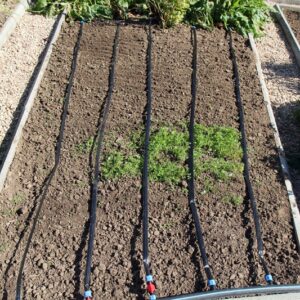 Крапельні стрічки