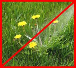 Гербіциди виборчої дії