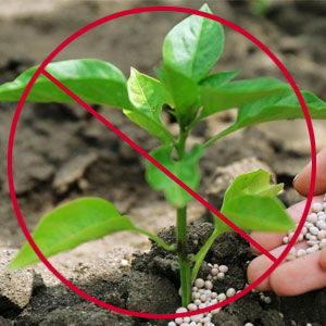 Мікродобрива