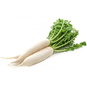 Насіння дайкона