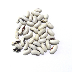 Насіння квасолі