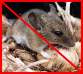 Родентициди