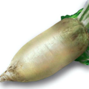 насіння буряк кормовий