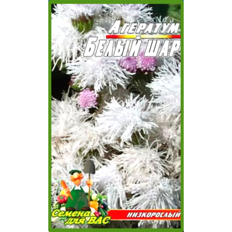 Агератум Біла куля пакет 0