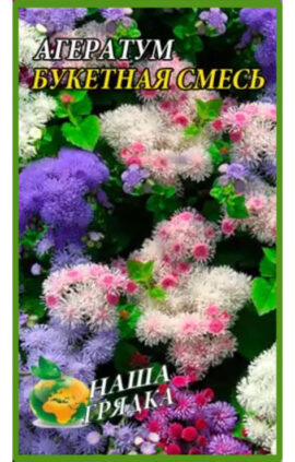 Агератум Букетна суміш пакет 0