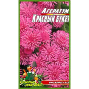 Агератум Червоний букет пакет 0
