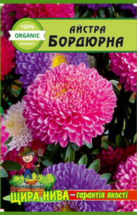 Айстра Бордюрна низькоросла пакет 0
