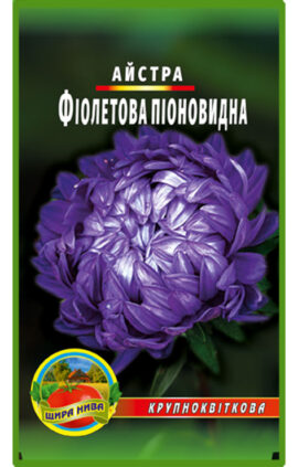 Астра піоноподібна Фіолетова пакет 0