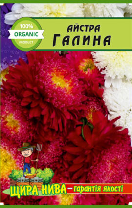 Айстра Галина пакет 0