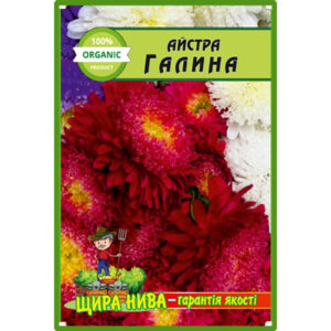 Айстра Галина пакет 0
