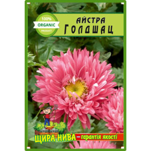 Айстра Голдшац пакет 0