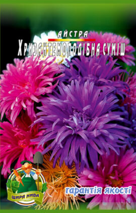 Айстра Хризамтемоподібний мікс пакет пакет 200 насінин
