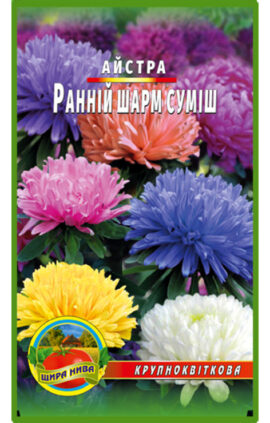Айстра Ранній шарм суміш пакет 0