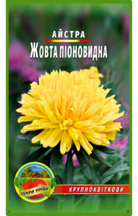 Астра піоноподібна Жовта пакет 0