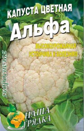 Капуста цвітна Альфа пакет 50 насінин.