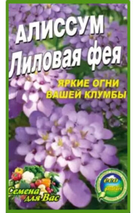 Аліссум Лілова фея пакет 0
