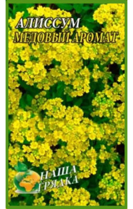 Аліссум Медовий аромат пакет 0