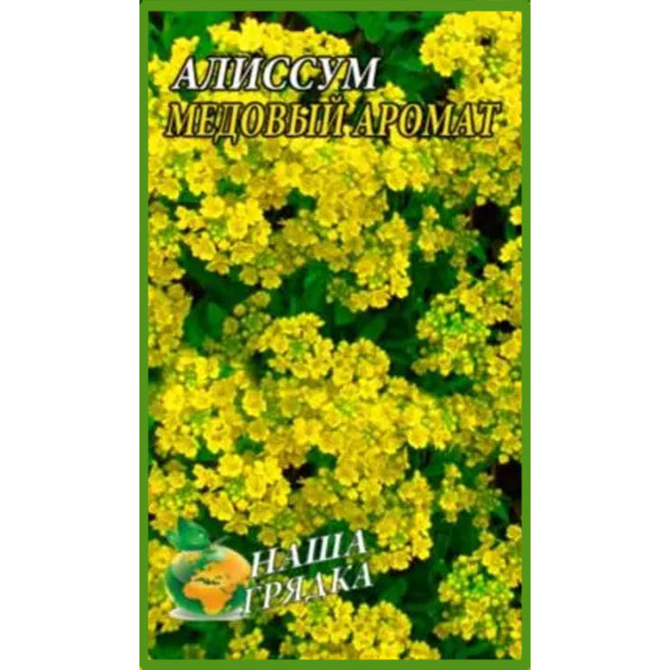 Аліссум Медовий аромат пакет 0