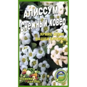 Аліссум Сніговий килим пакет 0