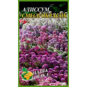Аліссум Суміш забарвлень пакет 0