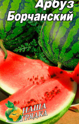 Кавун Борчанський пакет 40 насінин