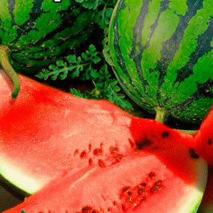 Кавун Борчанський пакет 40 насінин