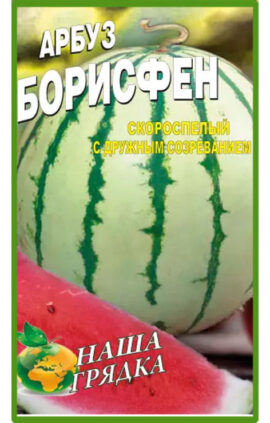Кавун Борисфен пакет 40 насінин