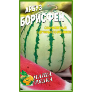 Кавун Борисфен пакет 40 насінин