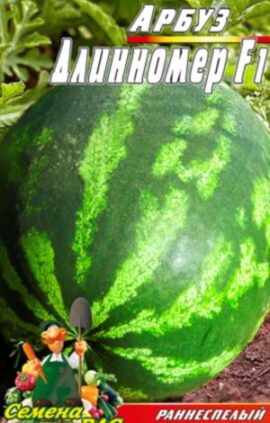 Кавун Довгомір F1 30 насінин