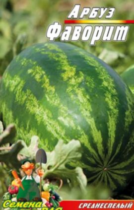 Кавун Фаворит 30 насінин