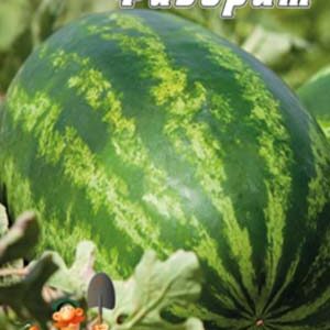 Кавун Фаворит 30 насінин