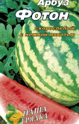 Кавун Фотон пакет 40 насінин