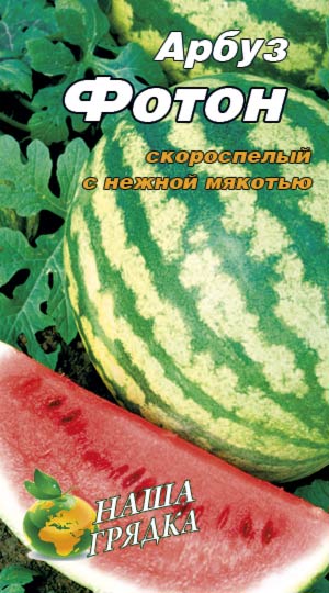 Кавун Фотон пакет 40 насінин