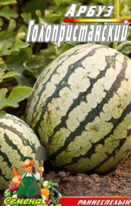 Кавун Голопристанський 30 насінин