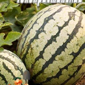 Кавун Голопристанський 30 насінин