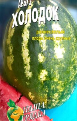 Кавун Холодок пакет 40 насінин