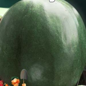 Кавун Мишутка F1 пакет 30 насінин