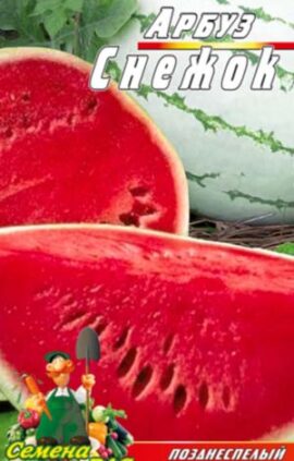 Кавун Сніжок 30 насінин