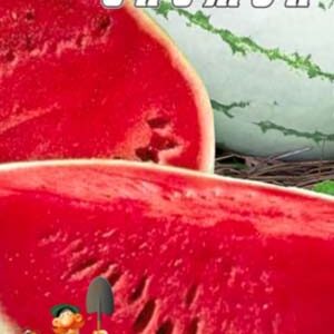 Кавун Сніжок 30 насінин
