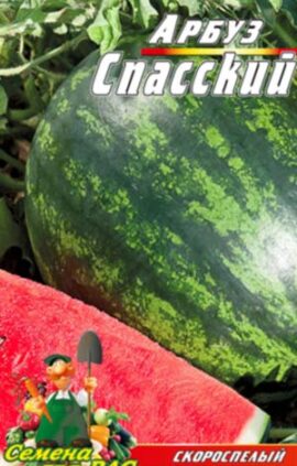 Кавун Спаський 30 насінин