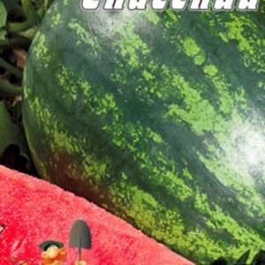 Кавун Спаський 30 насінин