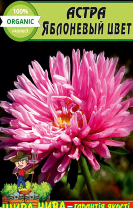 Астра Яблуневый цвет пакет 0
