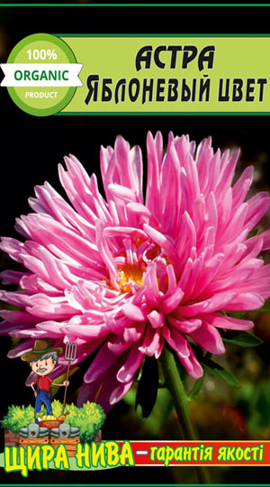 Астра Яблуневый цвет пакет 0