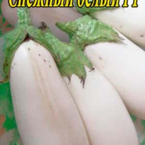 Баклажан Сніговий білий