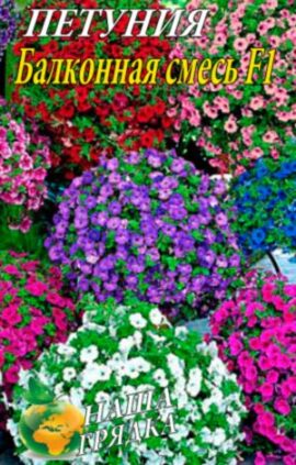 Петуния Балконная F1 пакет 0