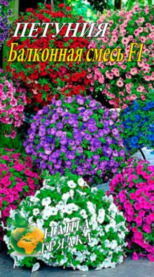Петуния Балконная F1 пакет 0