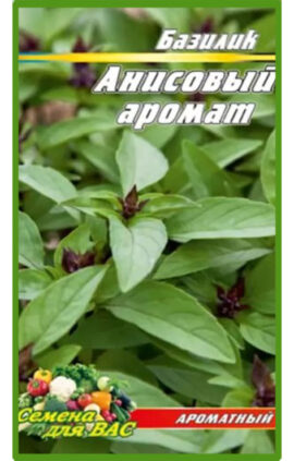 Базилік Анісовий аромат пакет 500 насінин