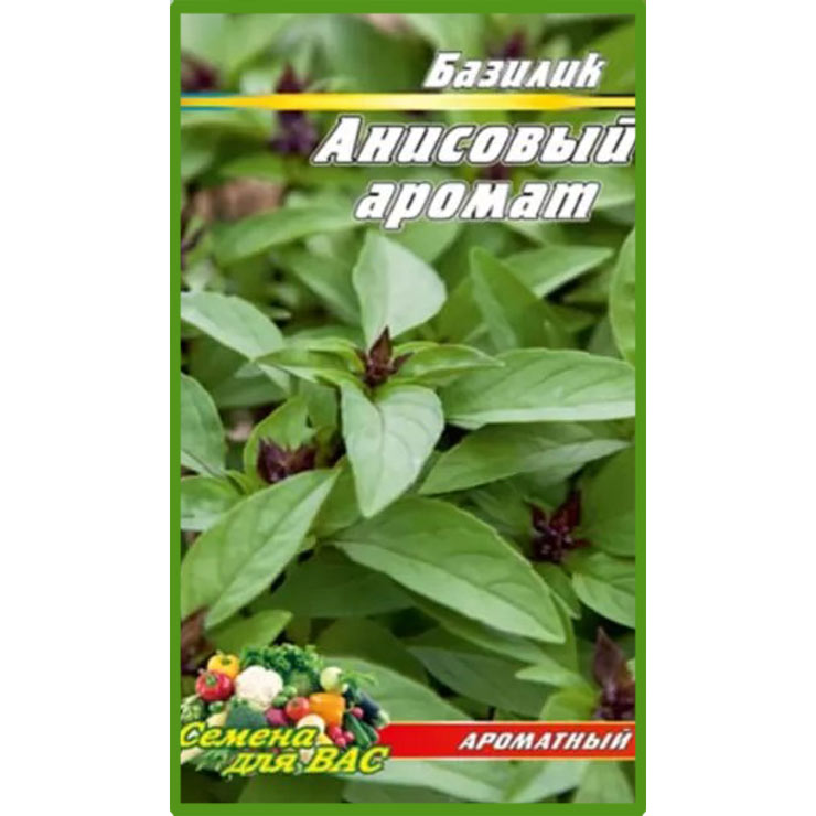 Базилік Анісовий аромат пакет 500 насінин